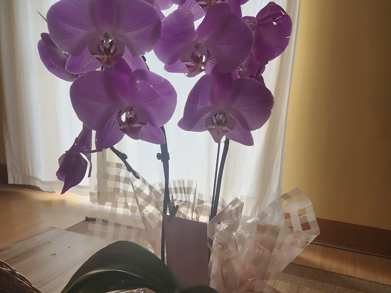 Decoração Romântica